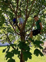 Hazel in the middle of a tree with Dean and Logan on each side
