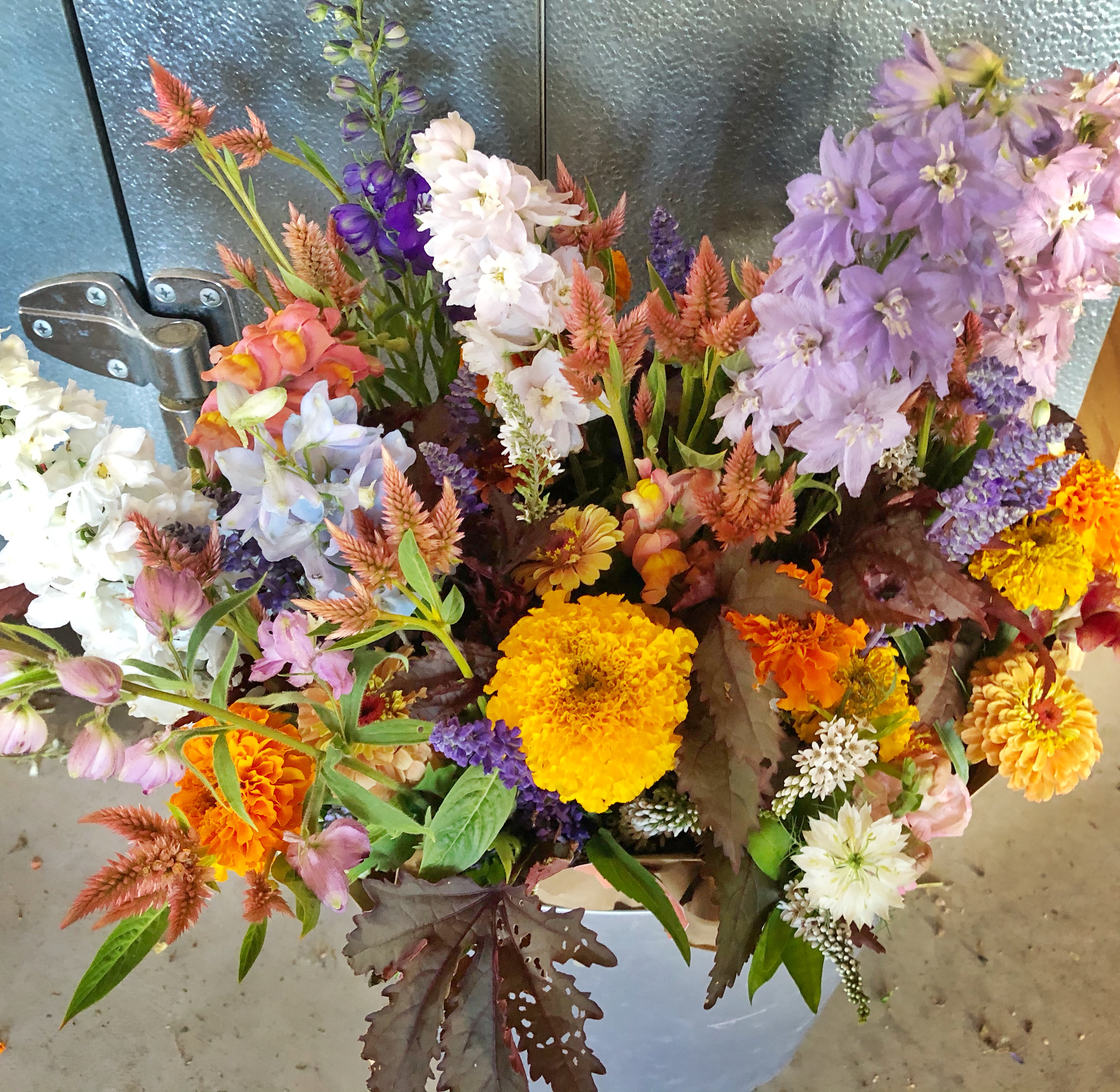 bucket of 6 bouquets with purple, blue and orange flowers featuring delphinium, marigold and celosia