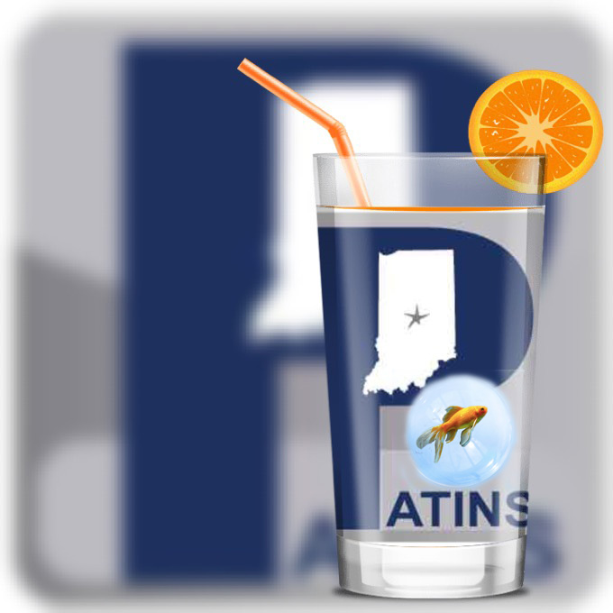 PATINS logo